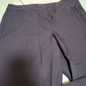 The Limited black pants Size 14. Stretch